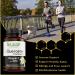 Quercetin Phytosome Vitamin C Zinc Capsules- Immune Support Complex- 120 Vegetarian Caps- 1000mg/Serving- BLeaf Nature - Buy Online on GoSupps.com