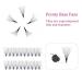 Buy 10D Volume Eyelashes - 0.07mm C Curl Mixed Tray (8-14mm) | Premium Artificial Eyelash Extensions for Stunning Volume - Buy Online on GoSupps.com