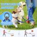 Nasjac Double Dog Leash - No Tangling 360 Rotatable Adjustable Bungee Leash for Small Medium & Large Dogs - Light Blue Perfect for Running & Training - Buy Online on GoSupps.com