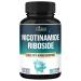 Organic Cadane Nicotinamide Riboside Supplement | Cellular Health Support | Vegan Non-GMO 90 Capsules - Support for 3 Months