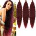 HENSLEELY 18 inch Ocean Wave Crochet Hair Deep Wave Twist Crochet Hair Extensions Curly Braiding Hair 3 packs Long Wavy Water Wave Braids For Women Synthetic Crochet Braid Hair (18 inch Burgundy) 18 Inch Burgundy