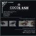 Cocohoney 3D Faux False Mink Eyelashes (5 pairs) - Office Look | Handmade, Cruelty-Free, Reusable | Ultralight & Durable - 3D009 - Buy Online on GoSupps.com
