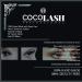 Cocohoney 3D Faux Mink Eyelashes - 5 Pairs for Party Looks | 100% Handmade Cruelty-Free Reusable Ultralight & Durable - Buy Online on GoSupps.com