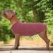 Hjumarayan Dog Sweater for Small Dogs | Washable Elastic Striped Sweater for Chihuahua & Yorkshire Terrier - XS Burgundy Red - Buy Online on GoSupps.com