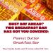OVER EASY Peanut Butter Breakfast Bars | All Natural  Clean Ingredient Protein Bars | Breakfast & Cereal Bars | 12 Protein Snack Bars Gluten Free  Dairy Free  Soy Free Peanut Butter 12 Count (Pack of 1) - Buy Online on GoSupps.com