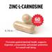 Force Factor Zinc L-Carnosine Capsules to Support Gastric and Digestive Health Digestion and Bloating Supplement Vegan Non-GMO No Gelatin 120 Capsules - Buy Online on GoSupps.com