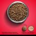 Zoe Grain Free Dog Food All Breed & Life Stages Beef with Peas & Pumpkin Recipe 5 kg Beef 5 kg (Pack of 1) - Buy Online on GoSupps.com