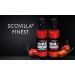 Scovilla's Finest Brain Burner 100ml - Extremely Hot Chili Sauce with Trinidad Scorpion & Carolina Reaper | International Shipping - Buy Online on GoSupps.com