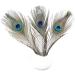 12 PCS Real Natural Peacock Eye Feathers 10-12 inch - DIY Craft & Wedding Decor - Buy Online on GoSupps.com