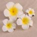 FRCOLOR 4Pcs Hawaiian Flower Hair Clip | Plumeria Hairpin for Kids & Women | Beach Foam Hair Accessories - Buy Online on GoSupps.com