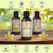 Chamomile Oil 250ml - Natural Hair & Skin Care Essential - Pure Chamomile Oil for Body & Hair Benefits - Buy Online on GoSupps.com