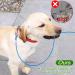 2 Pack Chew Proof Dog Leash Extension Metal Cable Lead Non-Tangle Connect Leash for Any Leash Heavy Duty Dog Leash Extender for Collar & Harness (Black+Blue) - Buy Online on GoSupps.com