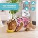 Avont Cat Recovery Suit - 2 Pack Post-Surgery Relaxation Clothing Leakage Protection for Abdominal Wounds - Medium Black/Pink Plaid - Buy Online on GoSupps.com