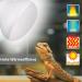Dernord 100W Basking Thermal Ramp - Reptile Heat Lamp & Turtle Spot Light | 2 Pack Basking Bulbs for Bearded Dragons Snakes & More - Buy Online on GoSupps.com