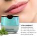 Bee Lip Balm Lip Mask Honey Pot 12 Flavors Fruit Lip mask Set with Honey & Vitamin E Lip Sleeping Mask Propolis Moisturizing Lip Balm Effective Reduces Lip Lines Prevention Dry and Cracked SET A - Buy Online on GoSupps.com
