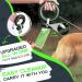 Moestar 3m Dog Leash with Faecal Bag Roller - Ideal for Small & Medium Dogs - Black/Green - Buy Online on GoSupps.com