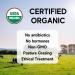 Organic Sour Cream Powder - USDA Certified, Kosher, Non-GMO, Gluten Free | Made In USA (8oz) - Buy Online on GoSupps.com