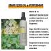 KMS HAIRPLAY Sea Salt Spray 6.7 oz - Texturizing Hair Spray for Effortless Beachy Waves - Buy Online on GoSupps.com
