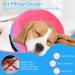 FWLWTWSS Inflatable Protective Collar for Dogs & Cats | Adjustable Velcro Fastener | Leak Protection for Recovery After Operations (Pink Size M: 20.3cm-30.5cm) - Buy Online on GoSupps.com