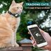 Royal Blue Airtag Cat Collar with Safety Lock & Elastic Band for Kittens (18-26cm) | Shop Now - Buy Online on GoSupps.com