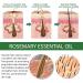 Rosemary Oil for Hair Growth Rosemary Oil for Skin Care Eyebrow and Eyelash Growth Nourishment Scalp & Dry Hair Strengthens Hair and Stimulates Hair Growth for Women Men(60 ML) - Buy Online on GoSupps.com