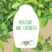 OGX Extra Strength Refreshing Scalp + Teatree Mint Shampoo Invigorating Scalp Shampoo with Tea Tree & Peppermint Oil & Witch Hazel Paraben-Free Sulfate-Free Surfactants 13 Fl Oz - Buy Online on GoSupps.com
