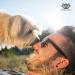 Natural Pet Oral Care Spray: Fights Plaque, Tartar & Gum Disease for Dogs and Cats - Buy Online on GoSupps.com