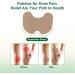 Laycaw Pain Relief Patches - 24 Count Natural Hot Herbal Heat Patch for Knee, Shoulder, and Neck Pain - Buy Online on GoSupps.com