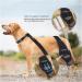 Adjustable Dog Knee Brace | Medium Black Pet Knee Pads for Joint Injury Recovery | Support Straps for Dogs - Buy Online on GoSupps.com