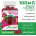 Elderberry Zinc Gummies with Vitamin C - Vegan Immune Support for Adults & Kids - 60 Organic Sambucus Gummies for Immunity Boost - Buy Online on GoSupps.com