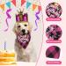 Crown Dog Birthday Hat Set - 4 Cute Reusable Hats & Bandana for Small to Medium Dogs Cats & Puppies - Pink with Gold Numbers - Buy Online on GoSupps.com