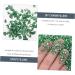 minkissy 1 Glass Chip DIY Charm Fillers Rhinestone for Nails Colored Vases Bulk Flower Vases Colored Glass Vase Colorful Rhinestones Epoxy DIY Nail Art Crushed Glass Irregular Nail Stickers 0.5X0.3cm Green - Buy Online on GoSupps.com
