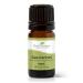 Plant Therapy Sea Fennel Essential Oil 5 mL (1/6 oz) 100% Pure Undiluted Therapeutic Grade