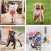 Molain 4 Pcs Cat Collars with Removable Bohemia Bow Tie Bandana Pet Collars Dog Bandana Cat Bandana Adjustable Bandana for Cats Dogs Puppy Pets Cat Accessories(Red Blue Black Pink) 4 Colors Pet Bandana - Buy Online on GoSupps.com