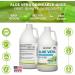 Pure Aloe Vera Juice Unflavored Cold-Processed - 99.7% Organic Aloe Vera Inner Fillet from Fresh Texas Leaves Supports Digestive Comfort & Natural Wellness 64 fl oz (Pack of 2) Unflavoured 64 Fl Oz (Pack of 2) - Buy Online on GoSupps.com