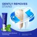PearlSmile Hydroxyapatite Niacinamide Whitening Toothpaste 5% Niacinamide + 10% Nano-Hydroxyapatite (nHAp) Strengthens Enamel & Remineralizes Fluoride-Free 4.2oz (Pack of 1) 4.2 Ounce (Pack of 1) - Buy Online on GoSupps.com
