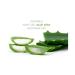 Aloe Vera 100% Soothing Gel Tube 260ml - Natural Skin Care Solution - Buy Online on GoSupps.com