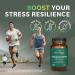 Prominent Nutrition Ashwagandha Supplement - Clinically Researched Shagandha Root Extract for Healthy Mood & Stress Support Standardized to 2.5% Withanolides 500 mg 60 Vegan Capsules - 1 Pack 60 Count (Pack of 1) - Buy Online on GoSupps.com
