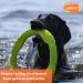 Laroo Dog Frisbee - Durable Water Toy for Medium & Large Dogs | Summer Pet Training Disc 30cm Green - Buy Online on GoSupps.com