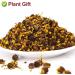 Plant Gift Natural Kunlun Snow Daisy Tea 40g141oz High Mountain Xueju Snow Chrysanthemum Flowers Herbal Tea - Buy Online on GoSupps.com