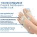 Sofeet Bunion Relief & Toe Compression Socks - Projoint AntiBunions Health Socks for Gout & Strongjoints - 5PCS Beige No Show Low Cut Five Finger Socks - Buy Online on GoSupps.com