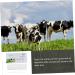 Fomiyes 1stk Pregnancy Test Strips for Sheep & Cattle - Accurate Animal Pregnancy Testing (1 Pack) - Buy Online on GoSupps.com