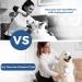 KUUBIA Pet Hair Dryer | Portable 2-in-1 Grooming Dryer with Brush | Adjustable Temperature for Small & Medium Dogs/Cats - Buy Online on GoSupps.com