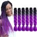 Ombre BraIDing Hair Pupre Braiding Hair Extensions 6Pcs Synthetic 24 Inch 2 Tone Jumbo Braiding Hair Black to Purple Crochet Braiding Hair 100g (Black to Purple) B26