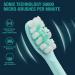 Vekkia Electric Toothbrush - Sonic Cleaning, Rechargeable, 4 Modes, Pressure Sensor, 4 Brush Heads - Best Toothbrush for Adults - Blue Diamond - Buy Online on GoSupps.com