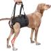 PZRLit Dog Lift Harness - Adjustable Sling Support for Large Dogs Hind Legs Mobility Aid for Elderly Dogs - Hip & Back Leg Joint Injury Assistant Vest - Help Senior Disabled for Walking (Large)