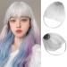 Bangs Hair Clip Synthetic Air Bangs Curved Bangs Heat Resistant Hairpieces Hair Women Fake Fringe Natural Bangs Hair Clips for Extensions Bangs Clip in Hair (Color : F447 88A)