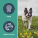Herbal Dog Co Gut Health Probiotic Blend for Dogs 250ml - Helps Digestion & Upset Stomach - Food Supplement for Dogs & Puppies - All-Natural Vegan Made in UK Gut Health 250 ml (Pack of 1) - Buy Online on GoSupps.com