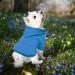 Waterproof Dog Coat & Fleece Hoodie - Winter Warm Jacket for Small Dogs & Puppies | Autumn Pet Clothing (XS - 1114debka-blue) - Buy Online on GoSupps.com