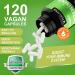 Vivalifer Artemisinin 500mg - Immune Support & Digestive Health | 120 Vegan Capsules - Buy Online on GoSupps.com